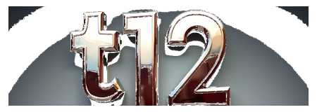 t 12 logo